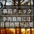 【事前チェック】多肉栽培には、日照時間が必要