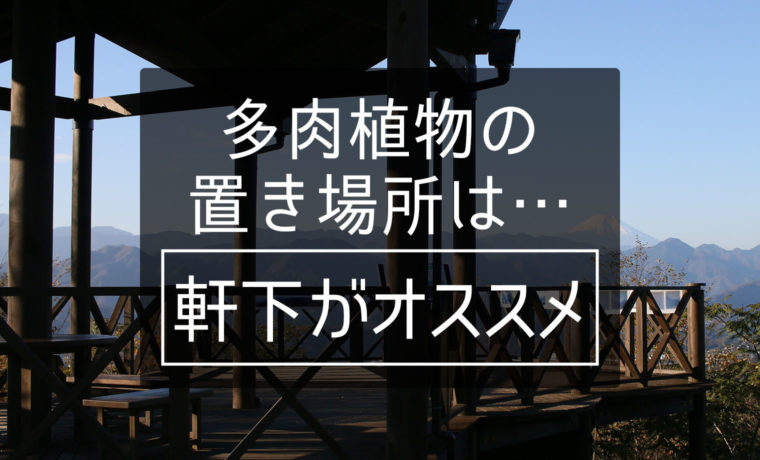 多肉植物の置き場所は 軒下近くがオススメ 山梨で多肉植物を育てるblog
