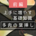 「葉挿し」前編｜上手に増やす、基礎知識