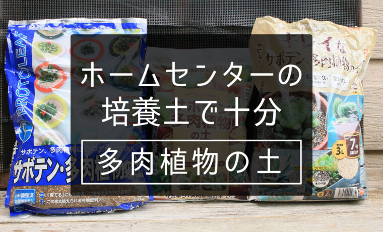 多肉の土は ホムセンの培養土で十分な理由 山梨で多肉植物を育てるblog