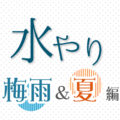 【梅雨＆夏…編】多肉植物の水やり