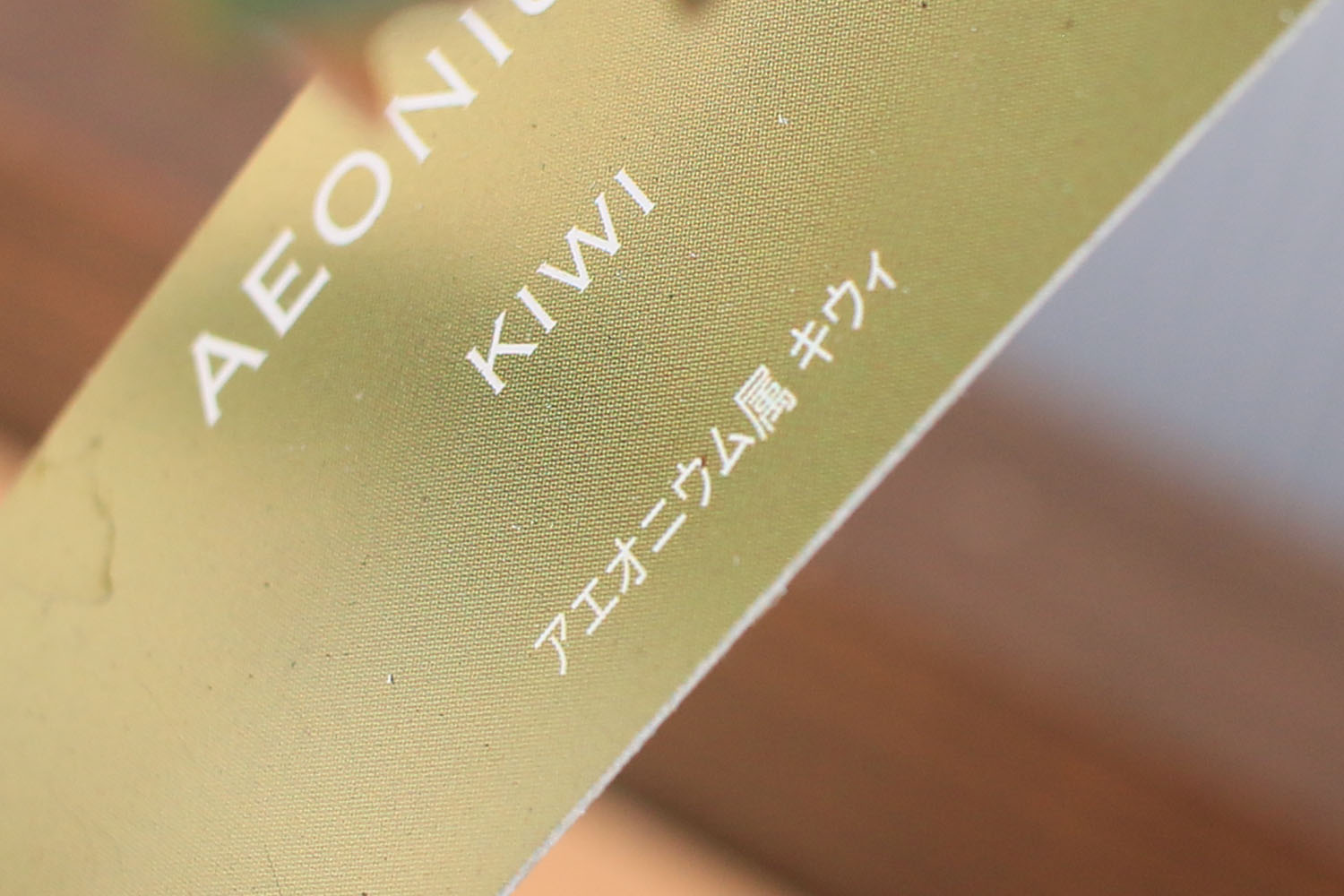 これぞドリームカラー 発色抜群の夕映え キウイを育てる